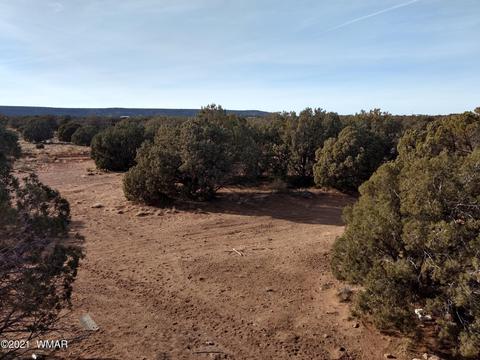 4343 E Pinto Rd, Snowflake, AZ 85937 photo 2
