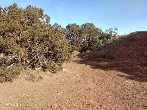 4343 E Pinto Rd, Snowflake, AZ 85937 photo 7