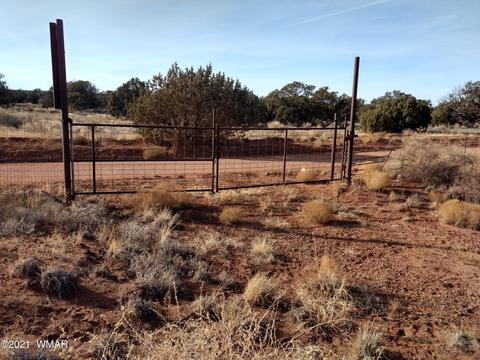 4343 E Pinto Rd, Snowflake, AZ 85937 photo 8