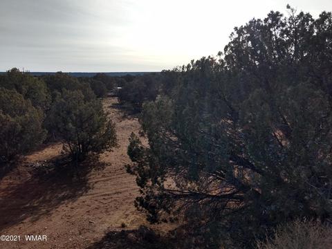 4343 E Pinto Rd, Snowflake, AZ 85937 photo 5