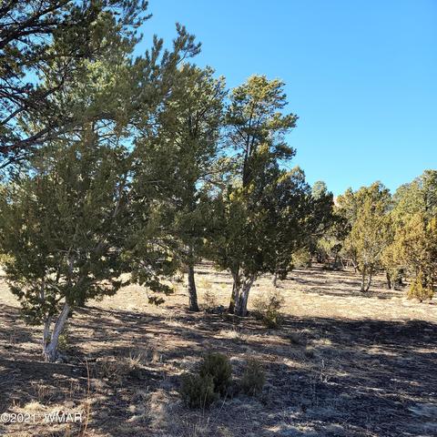 2752 Challenger Dr, Overgaard, AZ 85933 photo 4
