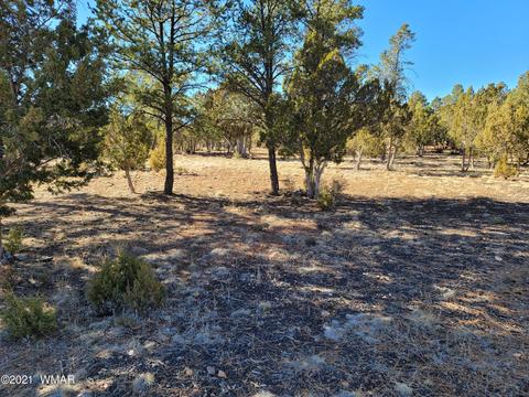 2752 Challenger Dr, Overgaard, AZ 85933 photo 2