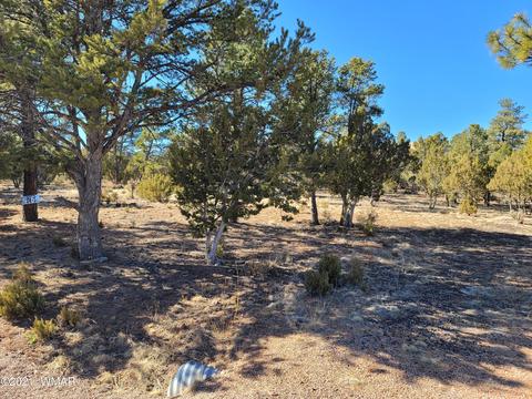 2752 Challenger Dr, Overgaard, AZ 85933 photo 5