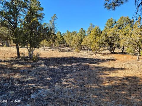 2752 Challenger Dr, Overgaard, AZ 85933 photo 1