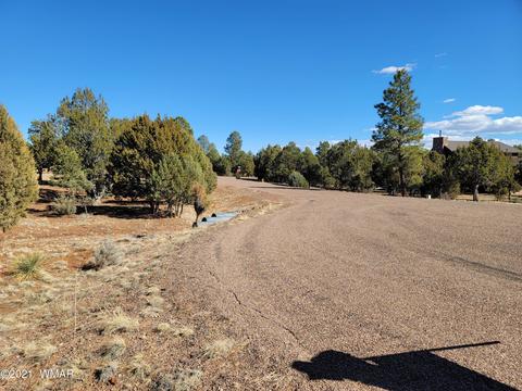 2752 Challenger Dr, Overgaard, AZ 85933 photo 3