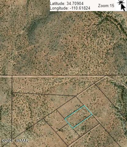5936 Serenity Ln, Overgaard, AZ 85928 photo 4