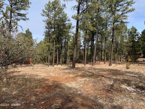 2278 Lindbergh Rd, Overgaard, AZ 85933 photo 6