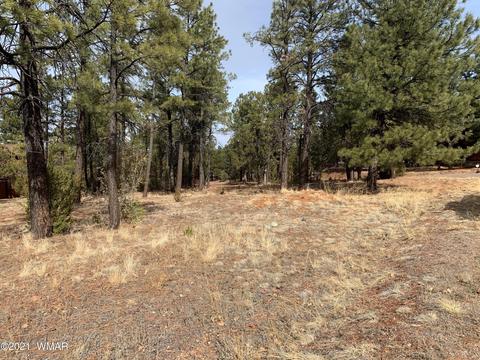 2278 Lindbergh Rd, Overgaard, AZ 85933 photo 8