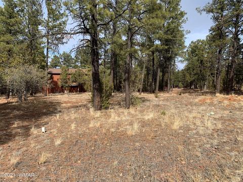 2278 Lindbergh Rd, Overgaard, AZ 85933 photo 7