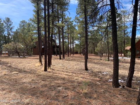 2278 Lindbergh Rd, Overgaard, AZ 85933 photo 1