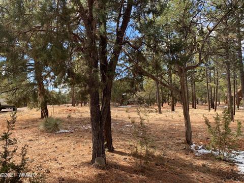 2278 Lindbergh Rd, Overgaard, AZ 85933 photo 3