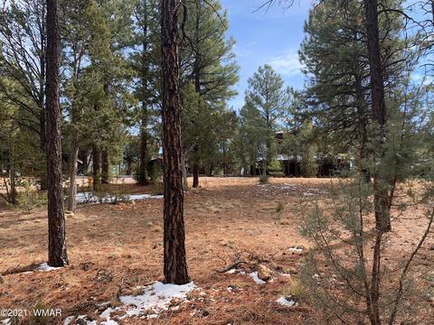 2278 Lindbergh Rd, Overgaard, AZ 85933 photo 2