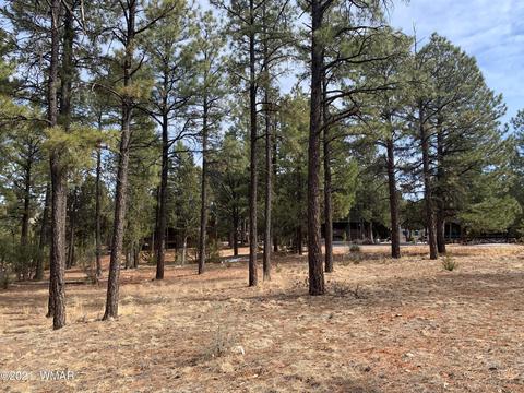 2278 Lindbergh Rd, Overgaard, AZ 85933 photo 4