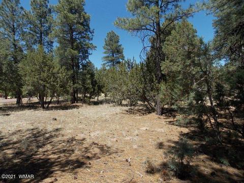 2859 Pine Rim Rd, Overgaard, AZ 85933 photo 2