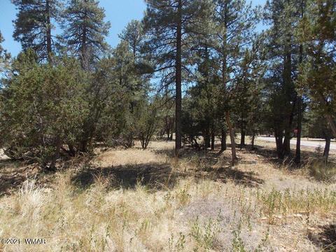 2859 Pine Rim Rd, Overgaard, AZ 85933 photo 3
