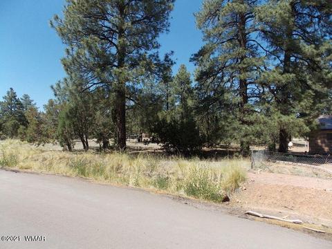 2859 Pine Rim Rd, Overgaard, AZ 85933 photo 4