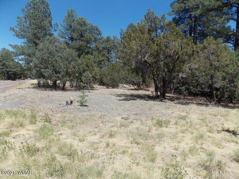 2859 Pine Rim Rd, Overgaard, AZ 85933 photo 1