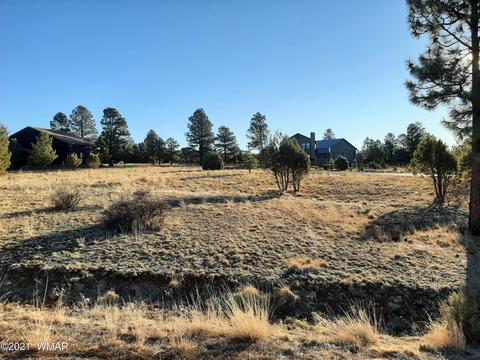 2745 Skyhawk Dr, Overgaard, AZ 85933 photo 1