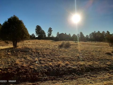 2745 Skyhawk Dr, Overgaard, AZ 85933 photo 5