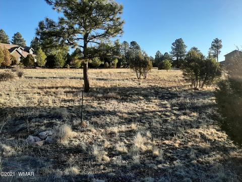 2745 Skyhawk Dr, Overgaard, AZ 85933 photo 3