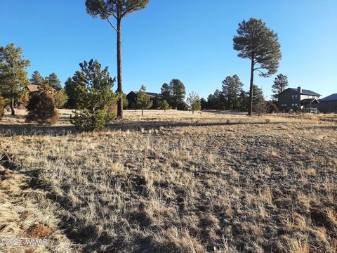 2745 Skyhawk Dr, Overgaard, AZ 85933 photo 2