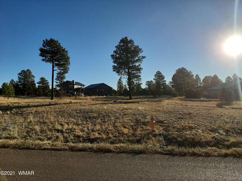 2745 Skyhawk Dr, Overgaard, AZ 85933 photo 4