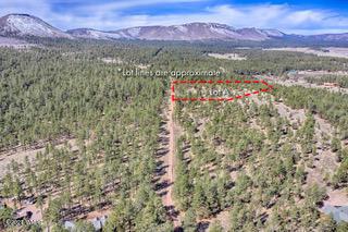 Parcel A County Road N2147, Alpine, AZ 85920