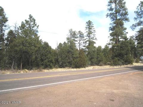 2883 Highway 260, Overgaard, AZ 85933 photo 2