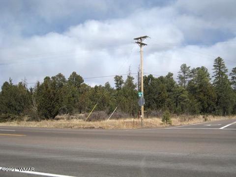 2883 Highway 260, Overgaard, AZ 85933 photo 8