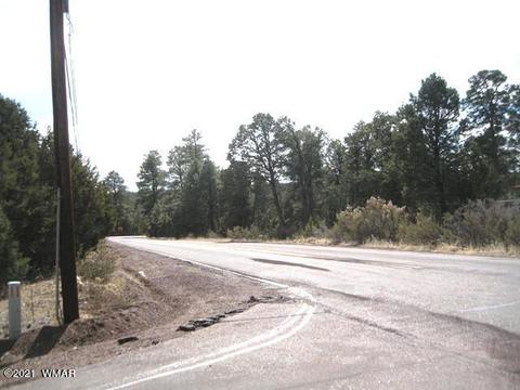 2883 Highway 260, Overgaard, AZ 85933 photo 5