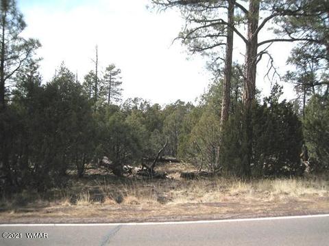 2883 Highway 260, Overgaard, AZ 85933 photo 9
