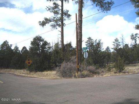 2883 Highway 260, Overgaard, AZ 85933 photo 3