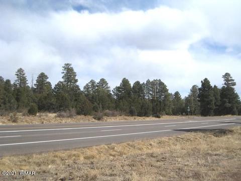2883 Highway 260, Overgaard, AZ 85933 photo 7