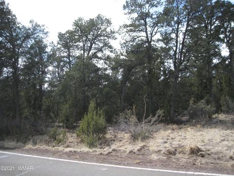 2883 Highway 260, Overgaard, AZ 85933 photo 4