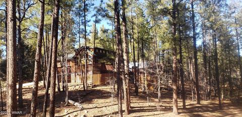 2091 E Recreation Loop Loop, Show Low, AZ 85901 photo 2