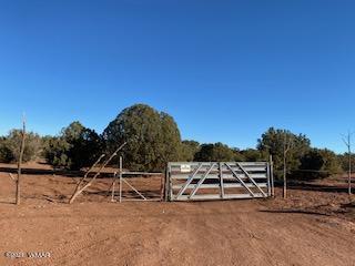 3981 Apache Rd, Snowflake, AZ 85937 photo 1