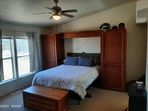 3364 Basin Rd, Overgaard, AZ 85933 photo 3