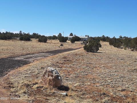 3364 Basin Rd, Overgaard, AZ 85933 photo 41