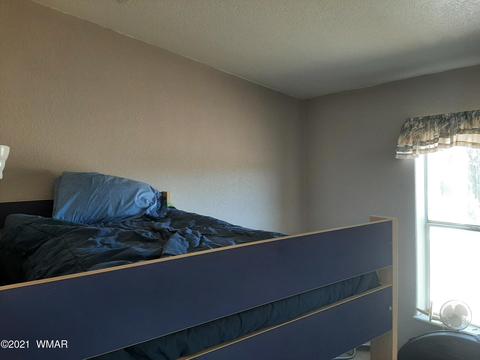 3364 Basin Rd, Overgaard, AZ 85933 photo 21