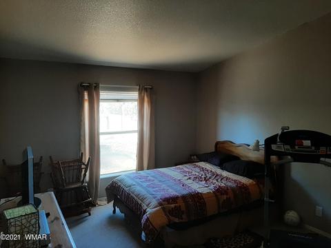 3364 Basin Rd, Overgaard, AZ 85933 photo 24