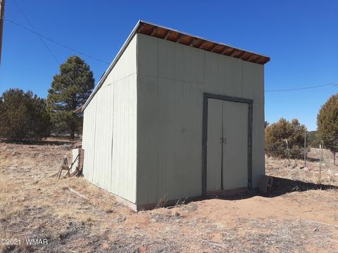 3364 Basin Rd, Overgaard, AZ 85933 photo 33