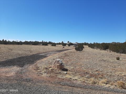 3364 Basin Rd, Overgaard, AZ 85933 photo 39