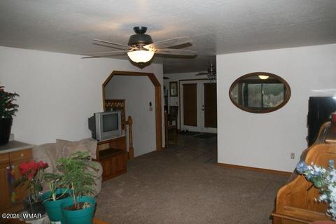 3810 N Anvil Rd, Pine, AZ 85544 photo 56