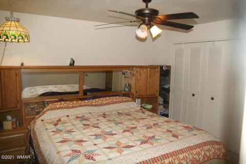 3810 N Anvil Rd, Pine, AZ 85544 photo 67