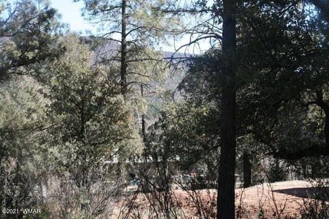 3810 N Anvil Rd, Pine, AZ 85544 photo 12