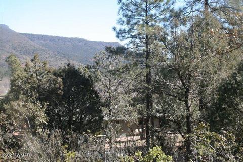 3810 N Anvil Rd, Pine, AZ 85544 photo 3