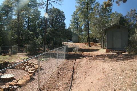 3810 N Anvil Rd, Pine, AZ 85544 photo 28