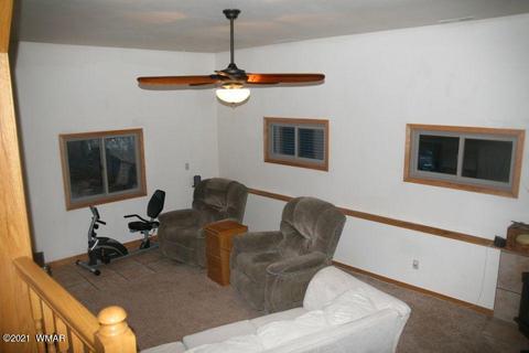 3810 N Anvil Rd, Pine, AZ 85544 photo 75