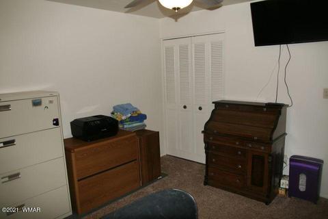 3810 N Anvil Rd, Pine, AZ 85544 photo 60