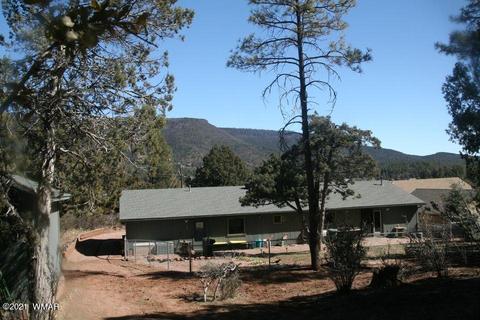3810 N Anvil Rd, Pine, AZ 85544 photo 25